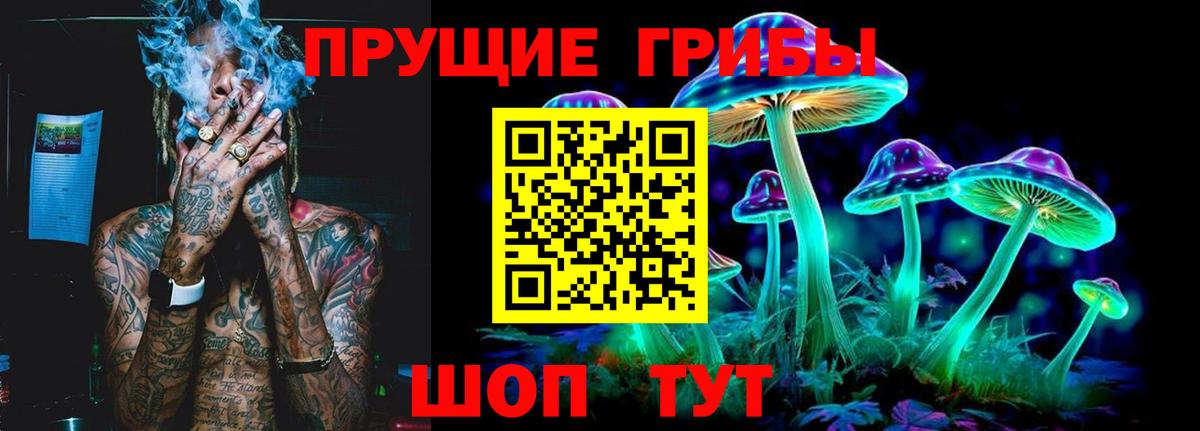 Галлюциногенные грибы Cubensis  Вход с VPN  Курчалой  Псилоцибиновые грибы ЛСД 